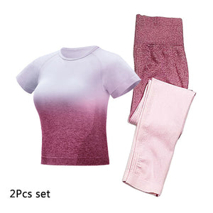 Women's  Seamless Ombre Gym Set - 2 Piece Yoga Outfit $39-Top only-$19.