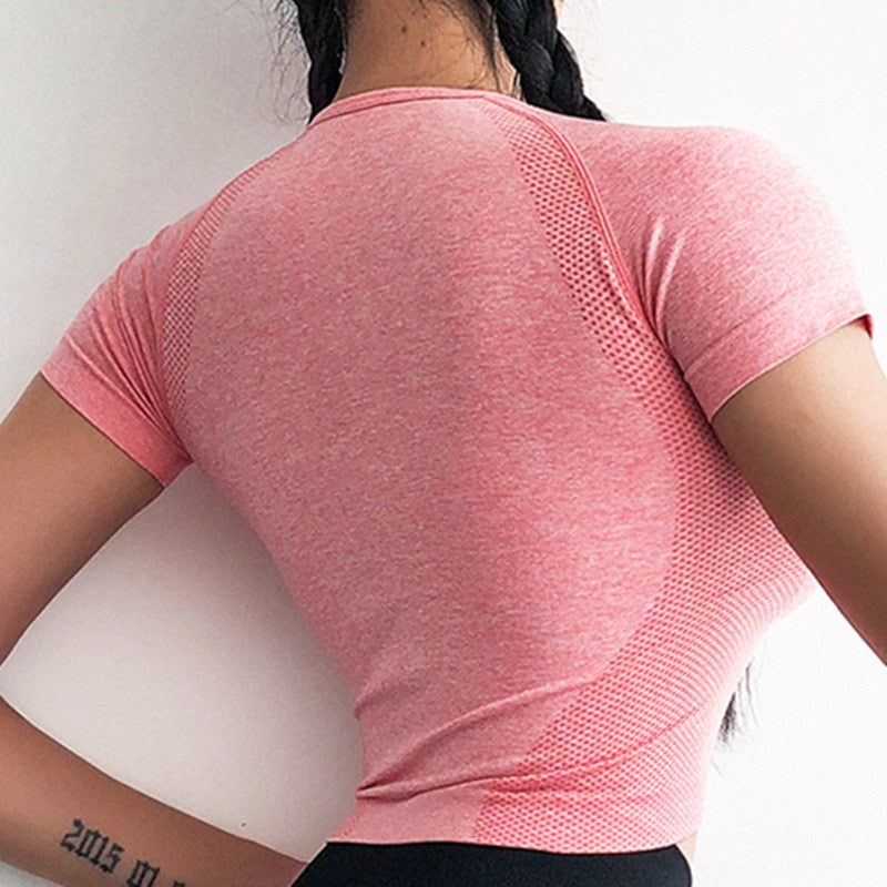 Women Cropped Seamless Short Sleeve Yoga Top
